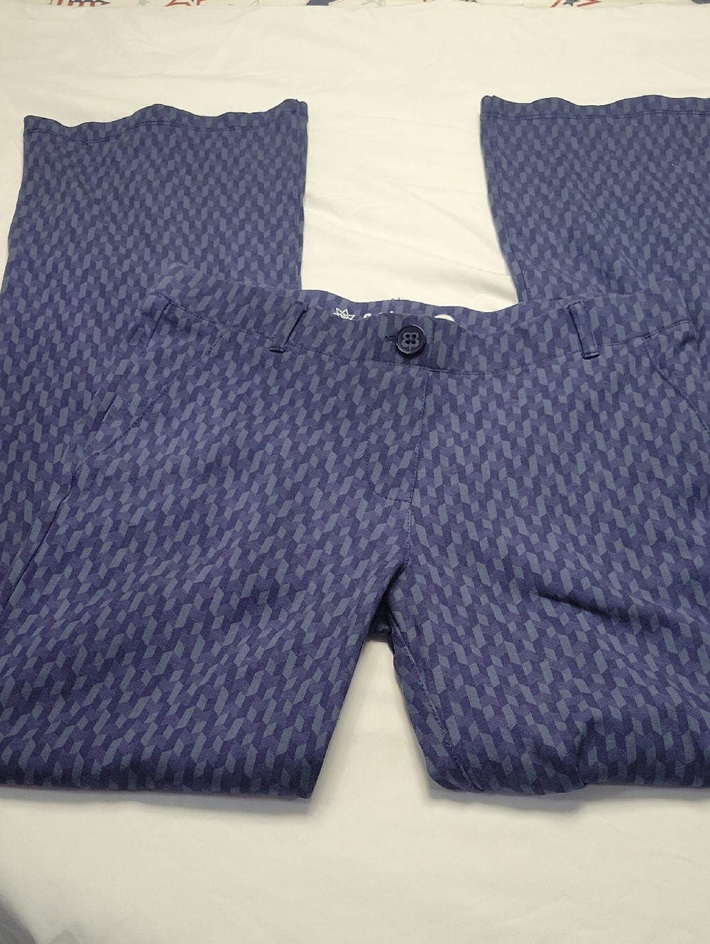 Betabrand Blue Patterned Chinos